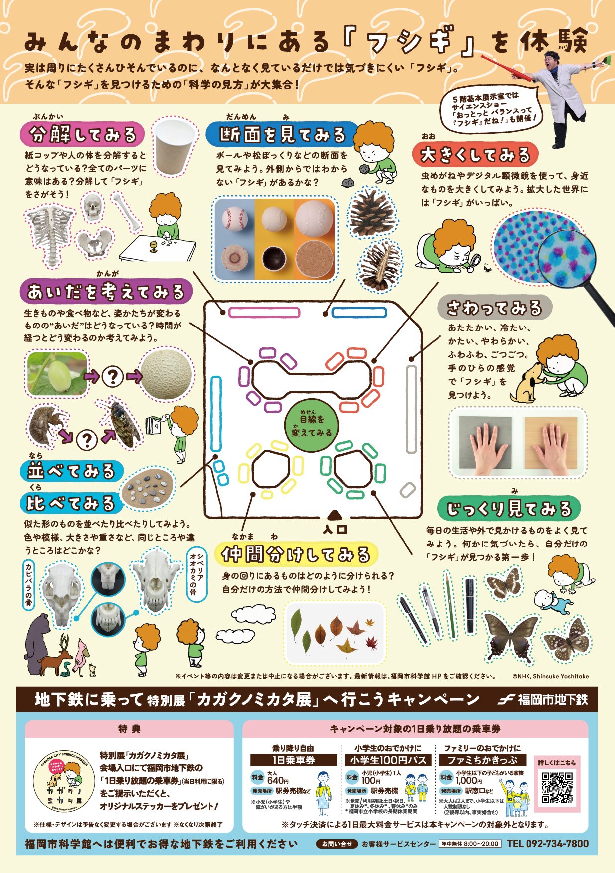A4たて_裏面_カガクノミカタチラシ_rgb.jpg
