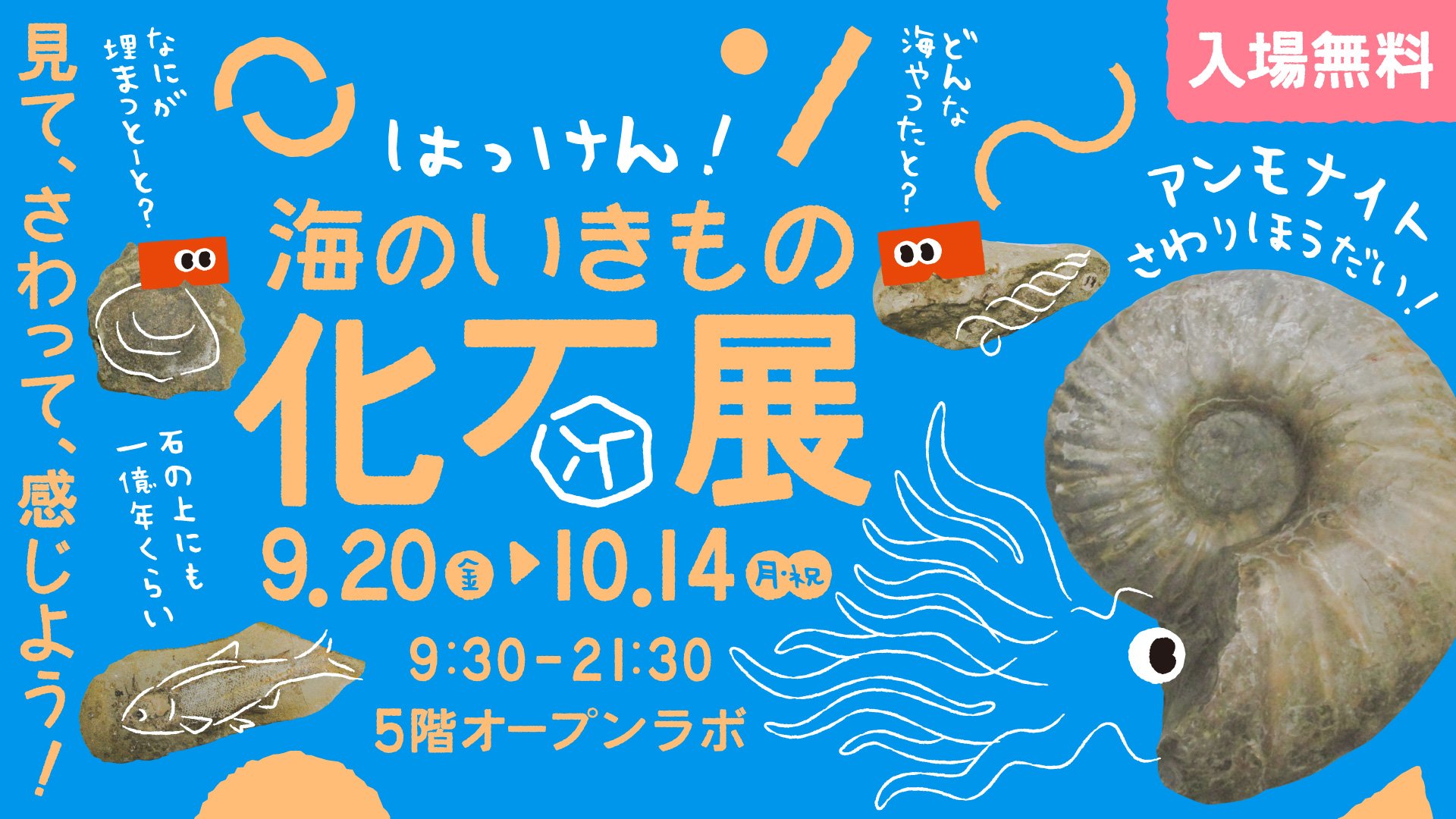 化石展.jpg