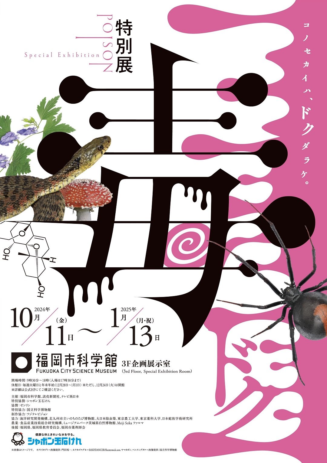 A4チラシ表_web.jpg