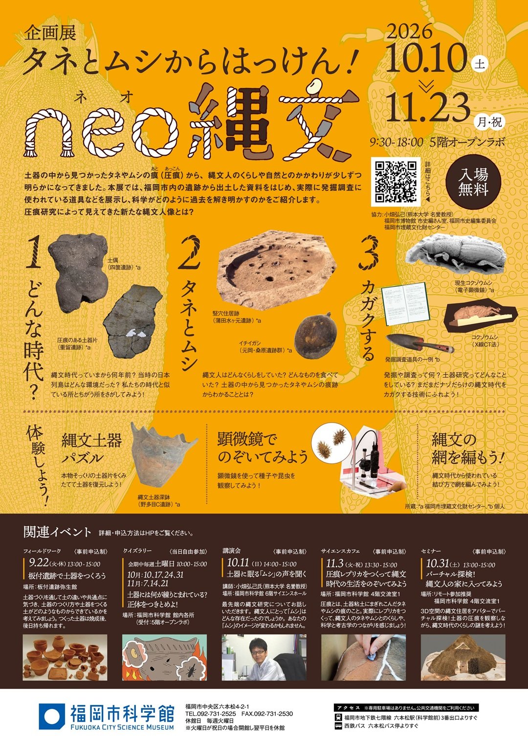 neo縄文web.jpg