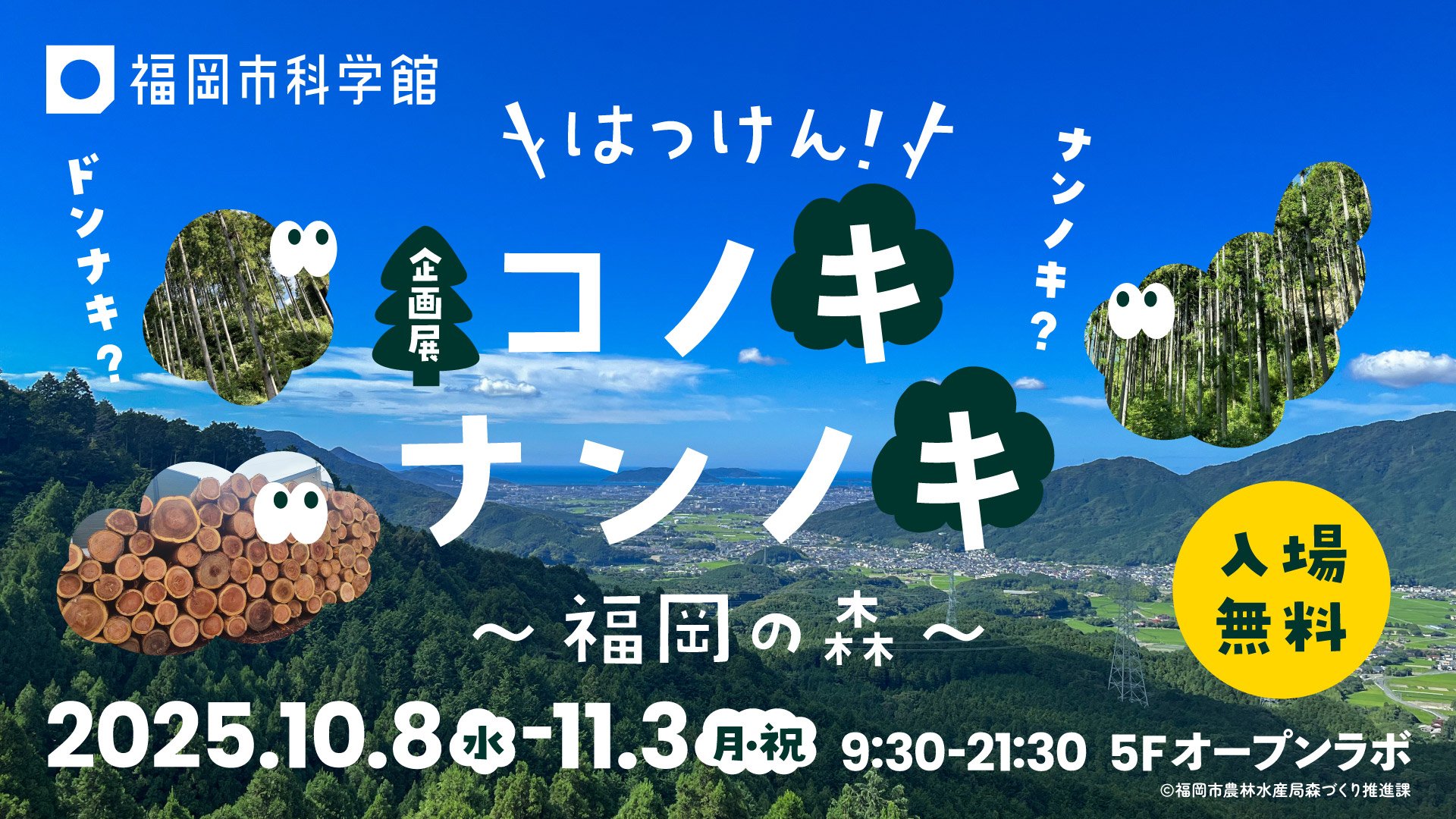 コノキナンノキ_250816_1920-1080.jpg