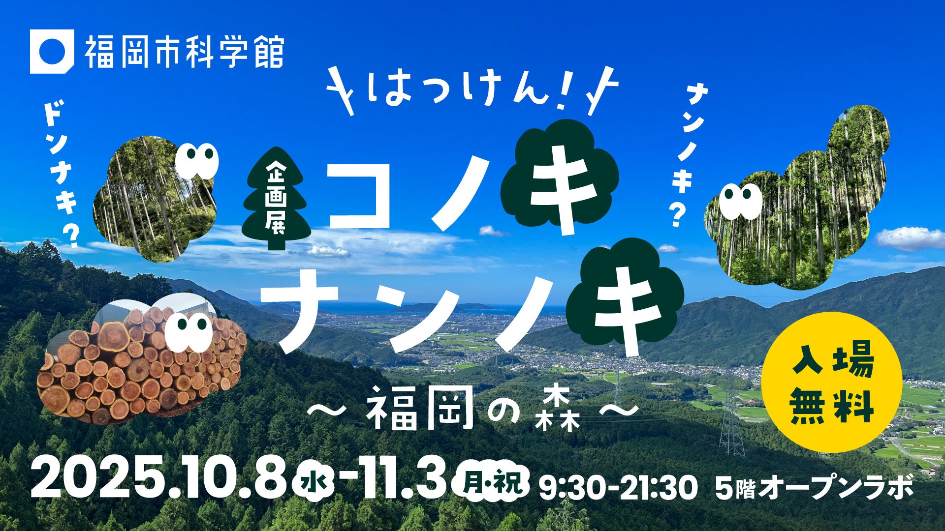 コノキナンノキ_バナー.jpg